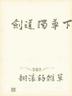 剑道独尊下载