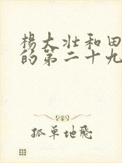 杨大壮和田桂花的第二十九