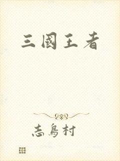 三国王者