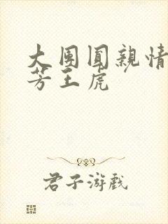 大团圆亲情会王芳王虎封面