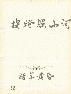 提灯照山河封面