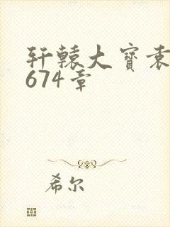 轩辕大宝袁雪妃674章