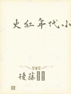 火红年代小说