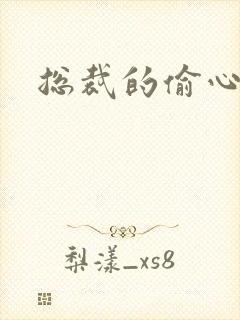 总裁的偷心娇妻封面