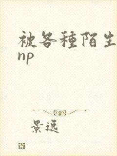 被各种陌生人 np