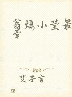 翁熄小莹最新节章