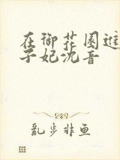 在御花园进入太子妃沈音