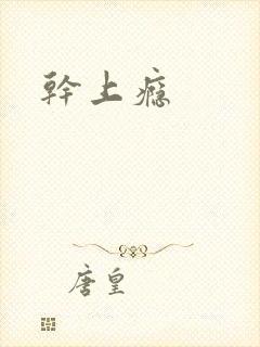 干上瘾封面