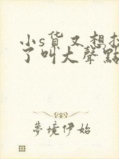 小s货又想挨c了叫大声点