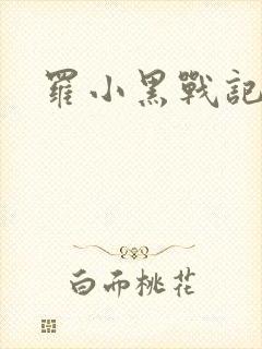 罗小黑战记小说