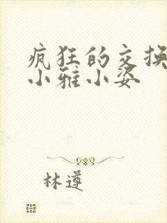 疯狂的交换小静小雅小姿