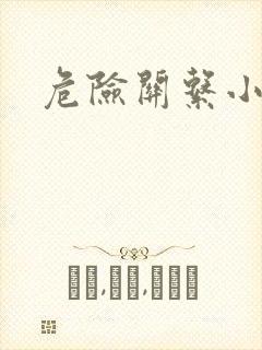 危险关系小说