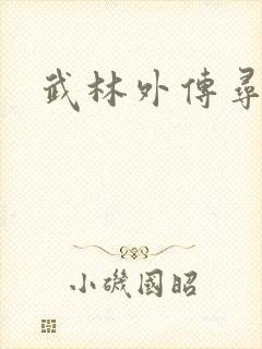 武林外传寻宝封面