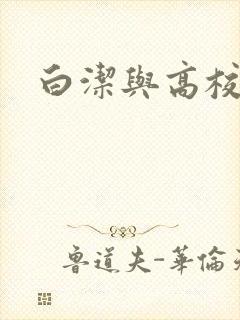 白洁与高校长封面