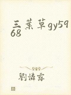 三叶草gy5968