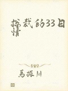 总裁的33日索情
