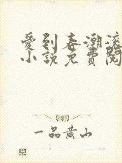 爱到春潮滚滚来小说免费阅读