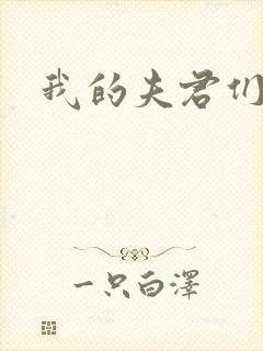 我的夫君们