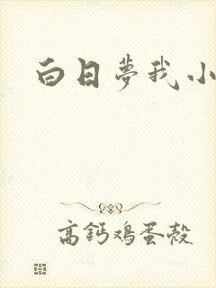 白日梦我小说