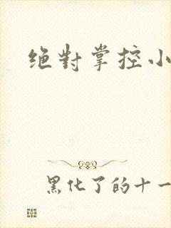绝对掌控小说