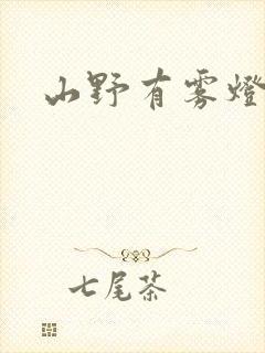 山野有雾灯