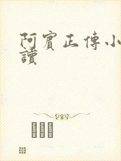 阿宾正传小说在读
