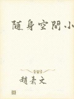 随身空间小说