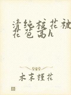清纯校花被迫开花苞高h