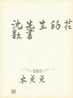 沈先生的花式调数书
