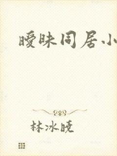 暧昧同居小说