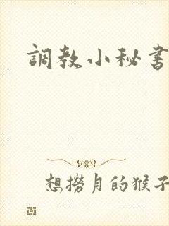 调教小秘书