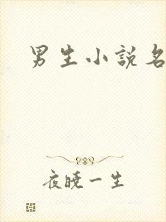 男生小说名字