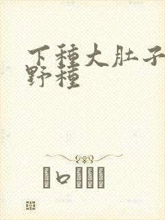 下种大肚子怀孕野种