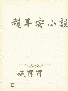 赵平安小说主角