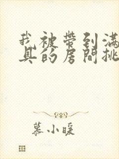 我被带到满是玩具的房间挑调游戏
