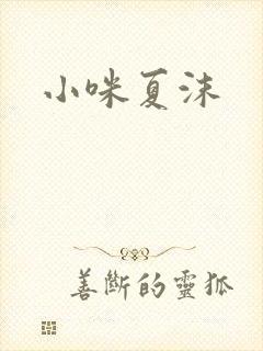 小咪夏沫封面
