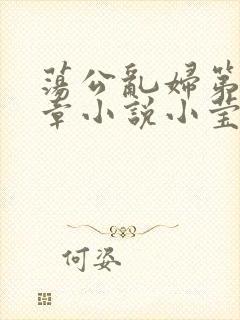 荡公乱妇第51章小说小莹