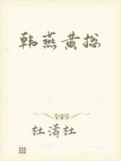 韩燕黄总