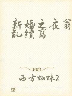 新婚之夜翁莹情乱续写