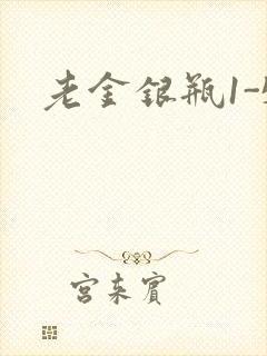 老金银瓶1-5