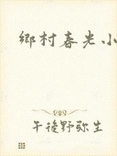 乡村春光小说
