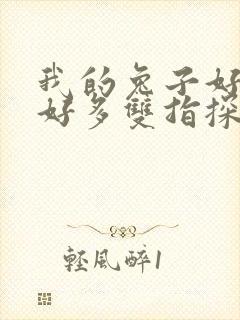 我的兔子好软水好多双指探洞小说封面