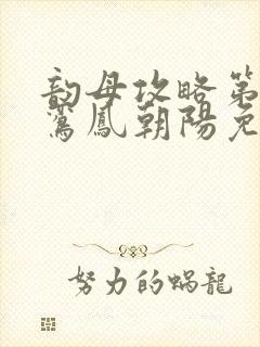 韵母攻略第二部鸾凤朝阳免费阅读