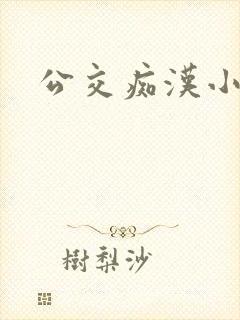 公交痴汉小说