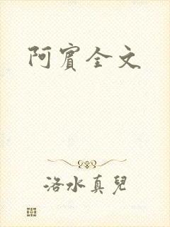 阿宾全文封面