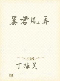 暴君风弄封面