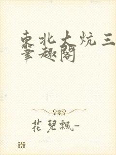 东北大炕三部曲笔趣阁