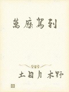 万历驾到