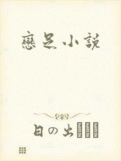 恋足小说
