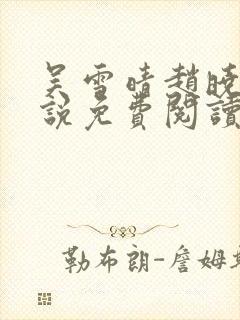 吴雪晴赵晓东小说免费阅读封面